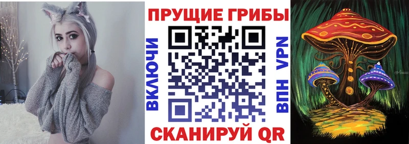 Галлюциногенные грибы ЛСД  Кочубеевское 